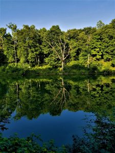 Morgantown City Council approves White Park water line agreement